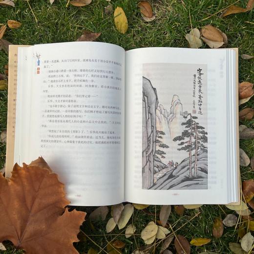 1.22-2.4春节预售《文心》叶圣陶私章版 商品图7