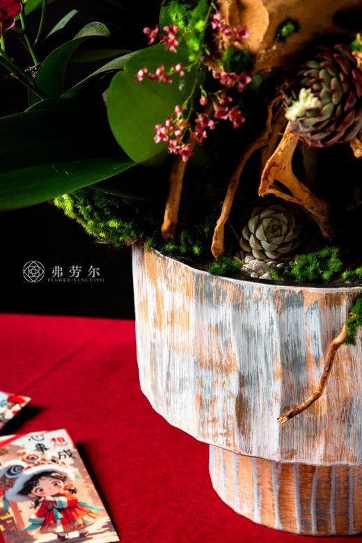 蛇跻新程 商品图3