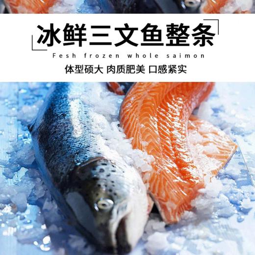 【同城发货+10元】丨团购·年货节·挪威空运冰鲜三文鱼【真空包装】【18斤大鱼现场分割】 三文鱼肉段 158元约450g丨鱼腩边/整根鱼骨鱼尾/鱼头每份30元丨发货日期：2025年1月22日（小年夜） 商品图2