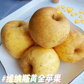 【分仓直发包邮】山东维纳斯苹果4.5-5斤中果（约13-15个）（果径70-75mm）