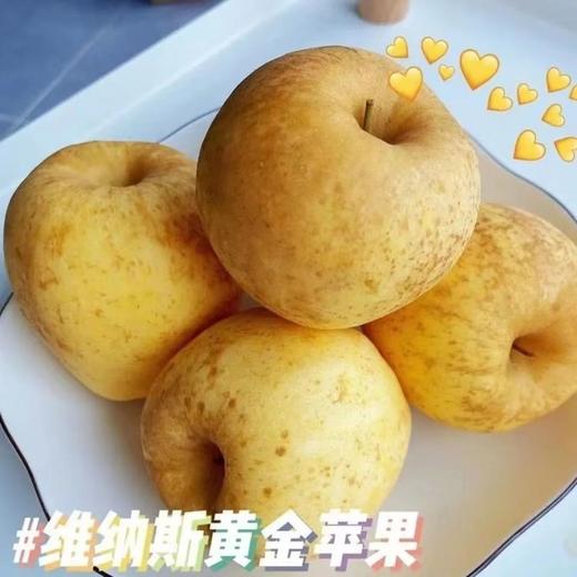 【分仓直发包邮】山东维纳斯苹果4.5-5斤中果（约13-15个）（果径70-75mm） 商品图0