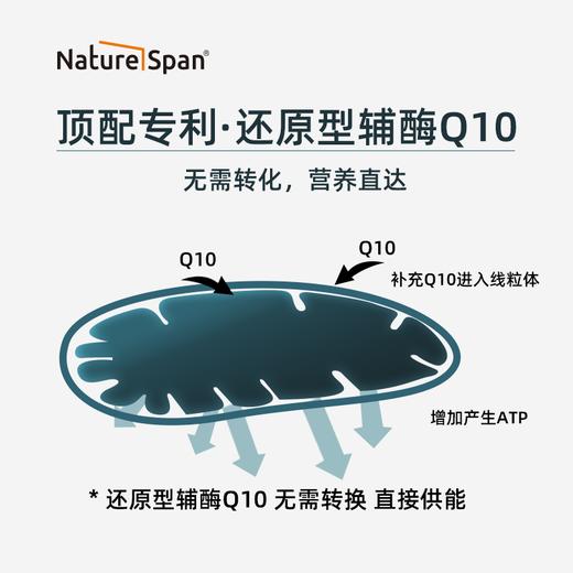 共晶还原型辅酶PQQ高含量美国原装进口30粒 NATURESPAN倍能适 商品图4