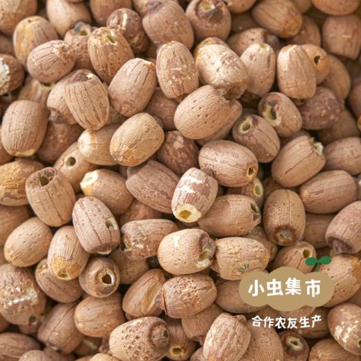野生有机红莲子 300g/罐 | 合作农友生产，产自湖南岳阳君山，生产者：慧耕 &【公平贸易农人定价】 商品图1