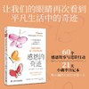 感恩的奇迹：让我们的眼睛再次看到 平凡生活中的奇迹 商品缩略图0