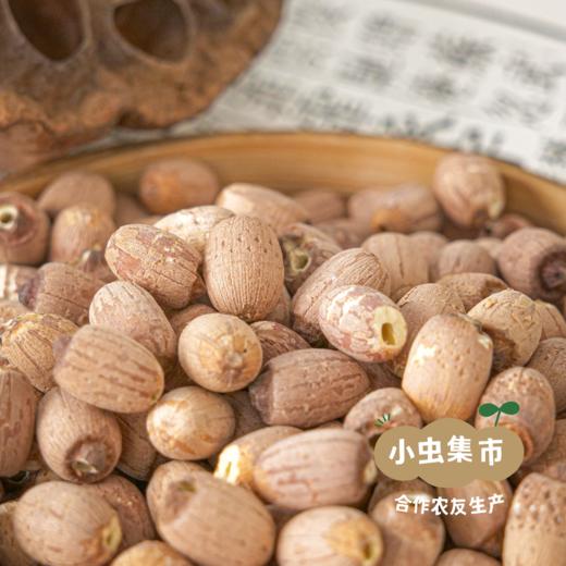 野生有机红莲子 300g/罐 | 合作农友生产，产自湖南岳阳君山，生产者：慧耕 &【公平贸易农人定价】 商品图2