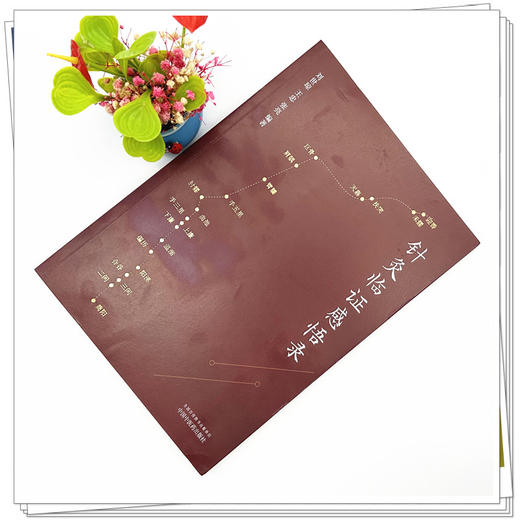 针灸临证感悟录 刘世琼 王忠 张亮 编著 中国中医药出版社 针灸 临床 书籍 商品图1