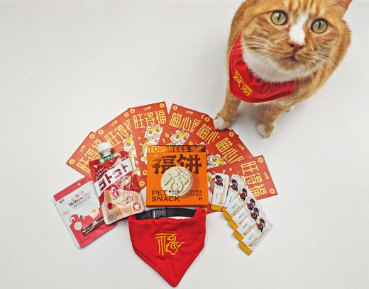 （猫研所）猫咪新年零食礼包  猫咪喜欢的零食 商品图3