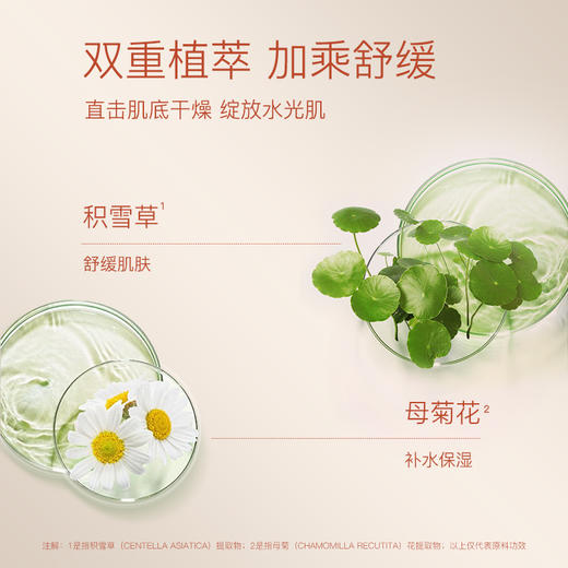 奢思雅舒缓保湿定妆喷雾 商品图2