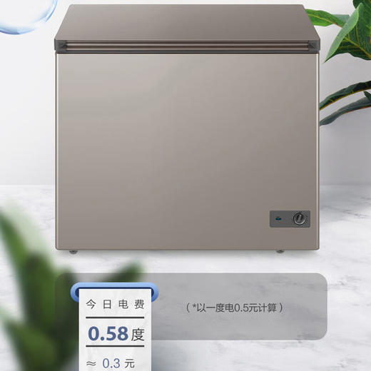 海尔（Haier）227升冰柜_BC/BD-227GHPCD 商品图2