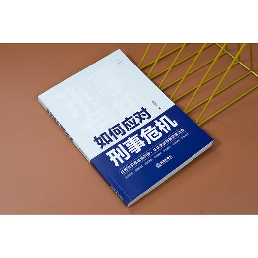 如何应对刑事危机 赖建东著 法律出版社 商品图2