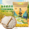 海大红海水稻白米十斤装 商品缩略图4