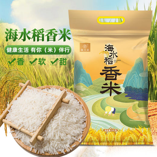 海大红海水稻白米十斤装 商品图4