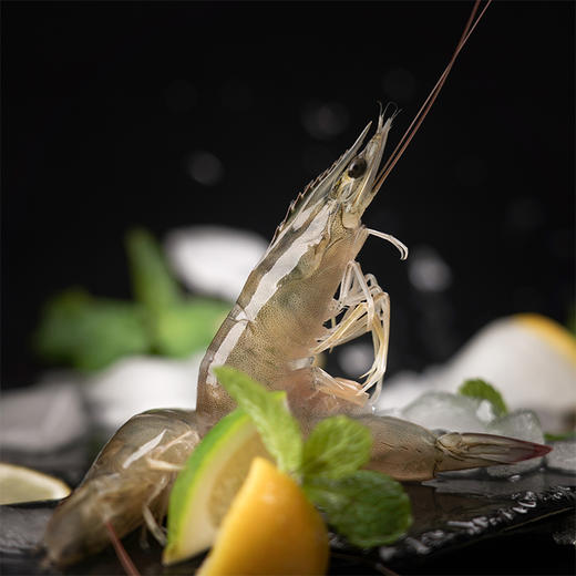 有机虾（带头生虾）净重400g/盒*3 天然生长0添加0抗生素0激素 商品图5