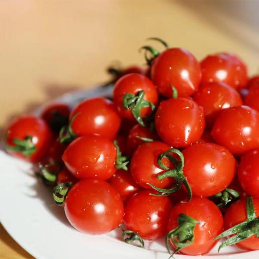 【釜山88玲珑小番茄】果皮薄脆，果肉细腻紧实，每一口都甜到心坎里 果味浓郁 一口爆汁 小番茄界的天花板 商品图1