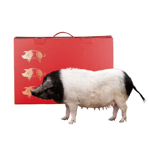 仙桥牧场吉猪珍萃礼盒 商品图0