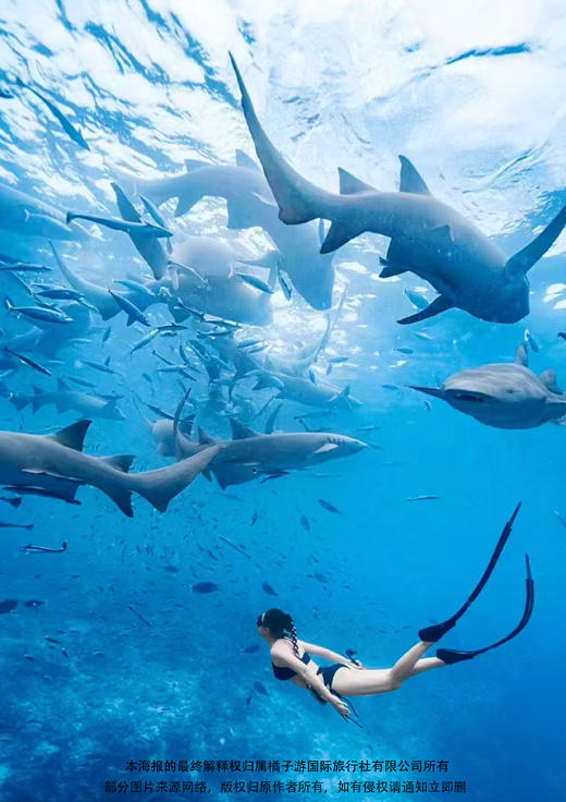 【梦幻跳岛·仙本那】4 天3晚（半自由行） 商品图1