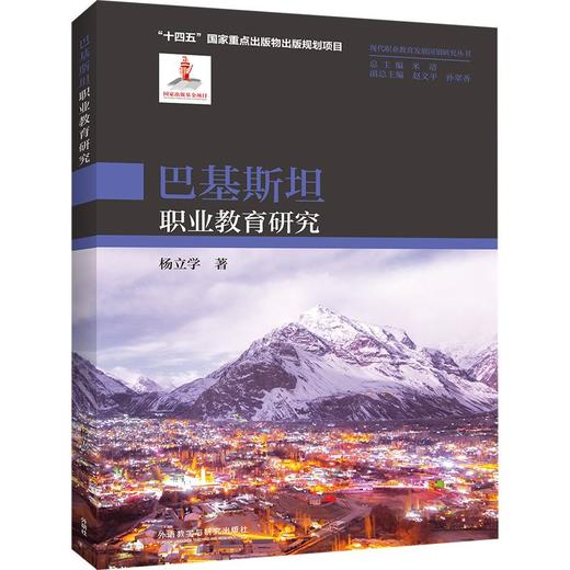 巴基斯坦职业教育研究 商品图0