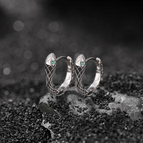 S925纯银光面精致灵蛇耳环CW