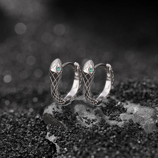 S925纯银光面精致灵蛇耳环CW 商品图0