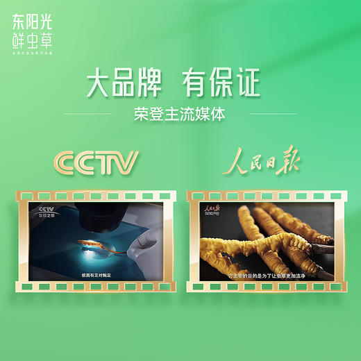 【特级品】东阳光鲜虫草 新鲜冬虫夏草16支 礼盒装 0.6~0.8g/支 商品图4