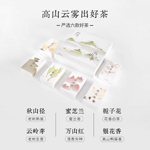 茶星云  新锐茶品牌  送礼自留  茶叶小清新  文创  独立包装 商品图2