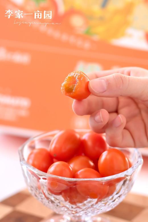 妮小番蜜橙小番茄 商品图2