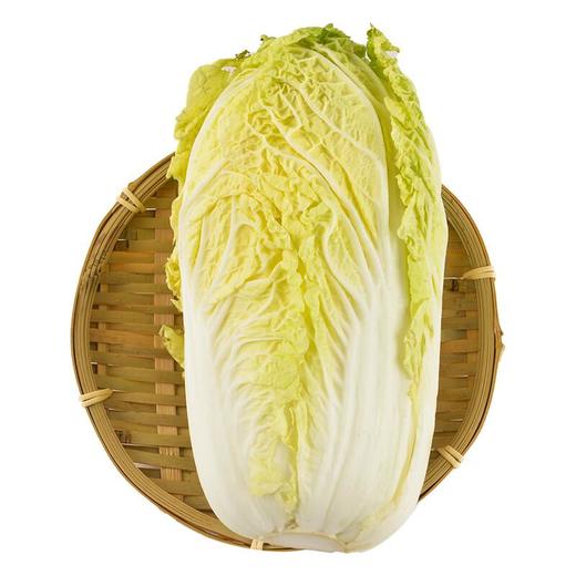 每日伊藤大白菜500g 商品图2