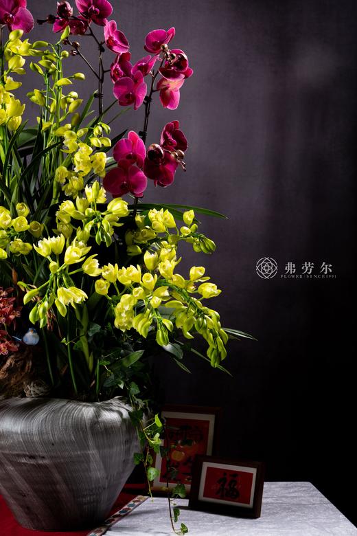 珠还蛇舞来 商品图1