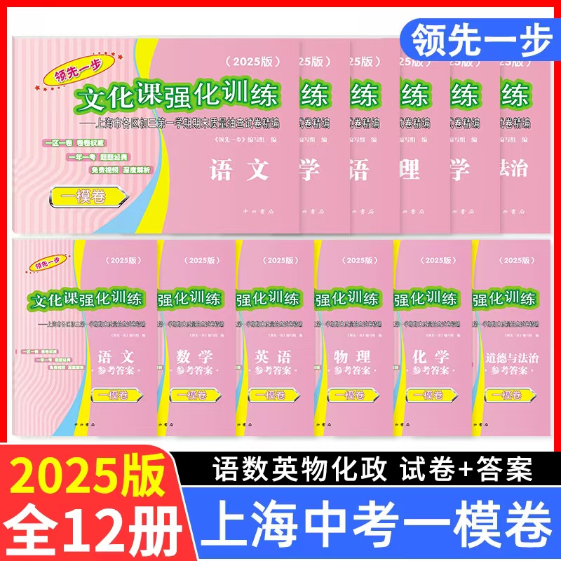 2025年上海中考一模卷全套语文数学英语物理化学历史道德与法治试卷领先一步文化课强化训练初三九年级摸考试卷子