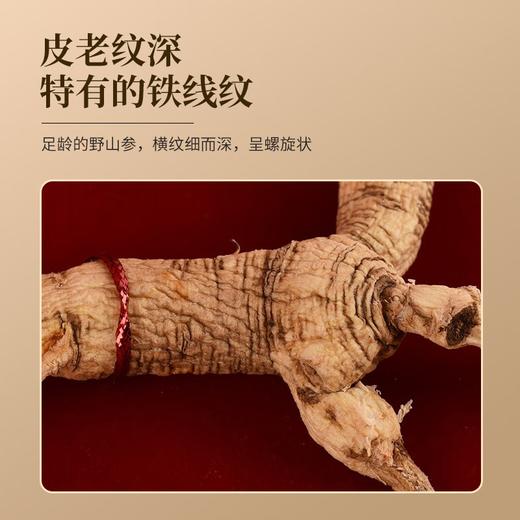 【分仓直发包邮】易天健二等野山参（整支8克/盒） 商品图2