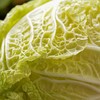 每日伊藤大白菜500g 商品缩略图3