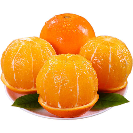 【分仓直发包邮】纽荷尔脐橙4.5斤（大果，果径80-85mm） 商品图3