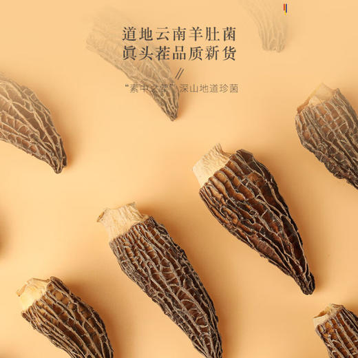 【分仓直发包邮】福东海四拼礼盒（绿色）155克/盒（羊肚菌40克+长石斛50克+西洋参斜片50克+鹿茸15克） 商品图5