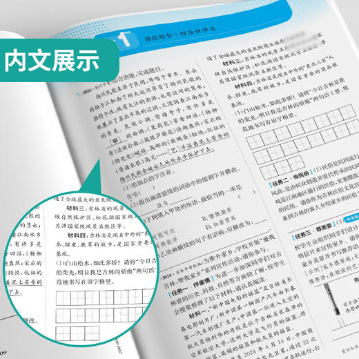 2025年春【人教版】语文八年级下册 实验班提优训练 商品图3