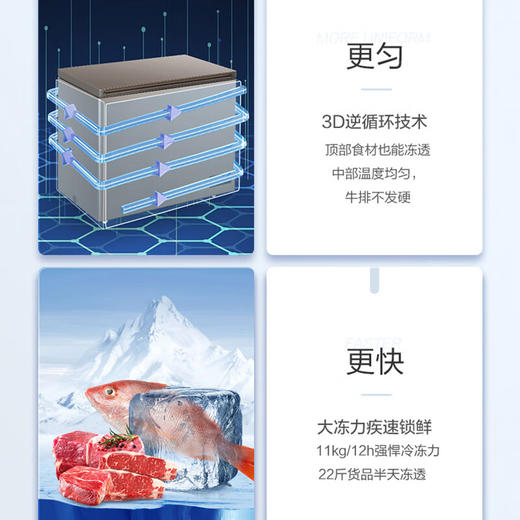海尔（Haier）227升冰柜_BC/BD-227GHPCD 商品图6