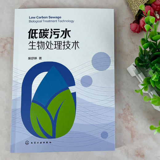 低碳污水生物处理技术 商品图2