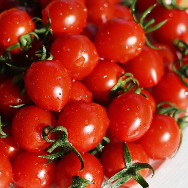 【釜山88玲珑小番茄】果皮薄脆，果肉细腻紧实，每一口都甜到心坎里 果味浓郁 一口爆汁 小番茄界的天花板