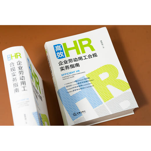 高效HR:企业劳动用工合规实务指南 谢炳城著 法律出版社 商品图2