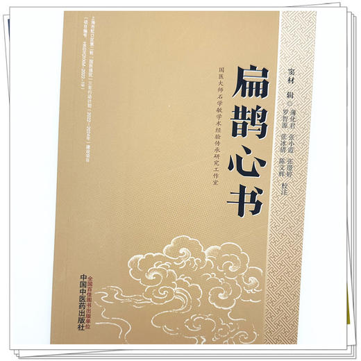 扁鹊心书 (宋) 窦材辑 薄化君 张小霞 张璟婷 校注 中国中医药出版社 商品图3