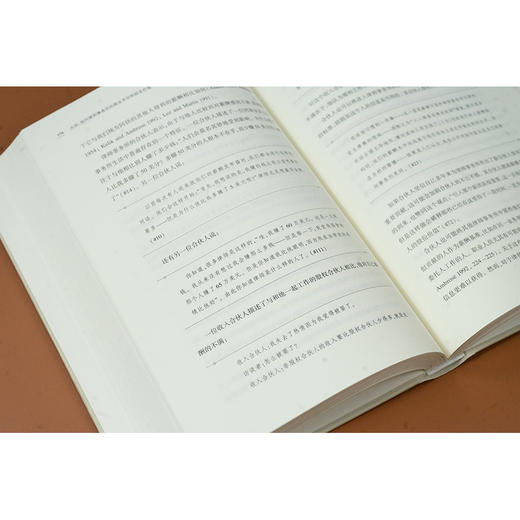 大所：现代律师事务所的商业关切和职业价值 [美]米特·里根 [美]丽莎·罗勒著  王进喜 李华译 法律出版社 商品图5