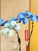 JT锦上添花 商品缩略图2