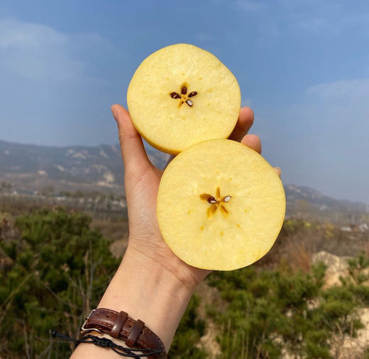 【分仓直发包邮】山东维纳斯苹果4.5-5斤中果（约13-15个）（果径70-75mm） 商品图1