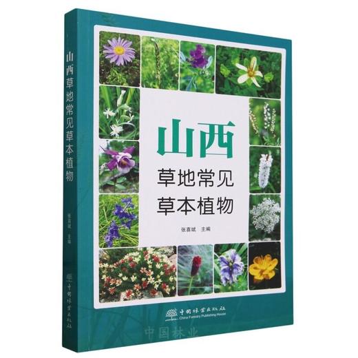 山西草地常见草本植物 &2070 商品图0