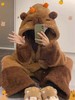 【冬季珊瑚绒睡衣】加厚加绒 冬天睡袍长款 学生闺蜜法兰绒浴袍 家居服  商品缩略图6