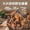 ⁴【自然中的植物蛋白】大兴安岭野生榛蘑 自然晾晒 森林中手工采摘 170g/份YC04-CR-YKSC【白桦树采汁】 商品缩略图0