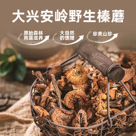 ⁴【自然中的植物蛋白】大兴安岭野生榛蘑 自然晾晒 森林中手工采摘 170g/份YC04-CR-YKSC【白桦树采汁】