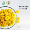 温释有机怀菊花30g/瓶 商品缩略图3