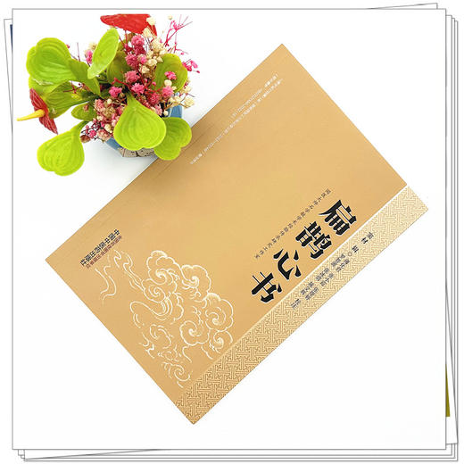 扁鹊心书 (宋) 窦材辑 薄化君 张小霞 张璟婷 校注 中国中医药出版社 商品图1