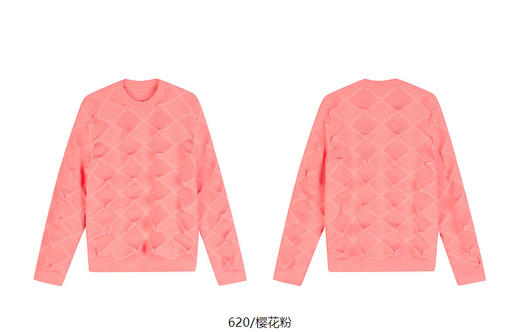 jnby   25年春款   长袖套头针织衫   1P1310940 商品图13