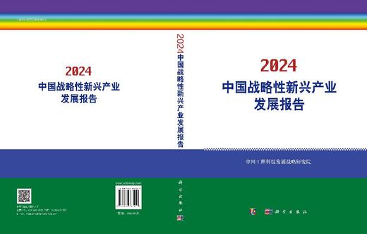 中国战略性新兴产业发展报告2024 商品图2